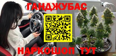 эйфоретик Нальчик