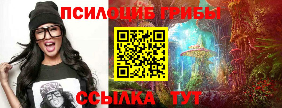 Ялта  Псилоцибиновые грибы MAGIC MUSHROOMS  Вход с VPN 